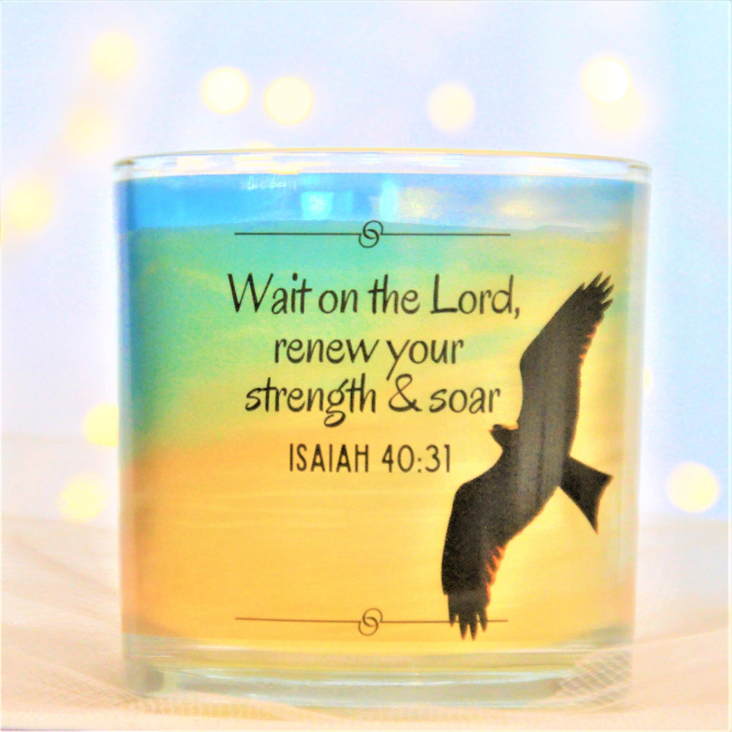 Wait on the Lord, renew your strength & soar  ISAIAH 40:31